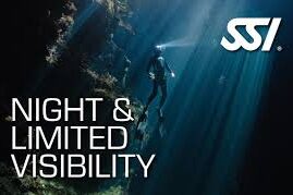 Night & Limited Visibility Images Edited